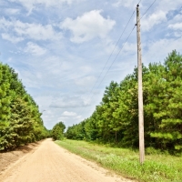 RECREATIONAL TIMBERLAND - 100 ACRES - LAFAYETTE CO  AR images 5