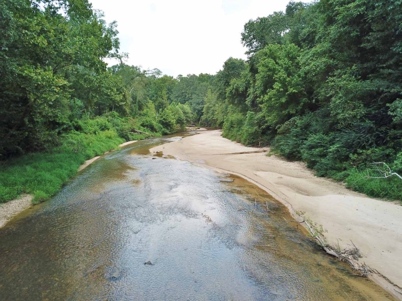 Hardwood Hunting Tract on Buffalo River Wilkinson County MS featured image