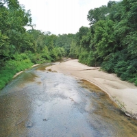 Hardwood Hunting Tract on Buffalo River Wilkinson County MS