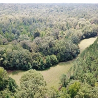 Hardwood Hunting Tract on Buffalo River Wilkinson County MS images 3