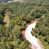 Hardwood Hunting Tract on Buffalo River Wilkinson County MS images 4