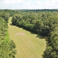 Hardwood Hunting Tract on Buffalo River Wilkinson County MS images 5