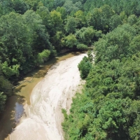 Hardwood Hunting Tract on Buffalo River Wilkinson County MS images 6