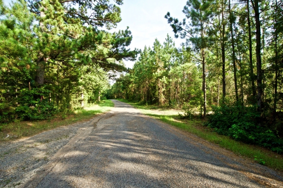 DEVELOPMENT TIMBER LAND - 18.8 ACRES - SAILES  LA featured image