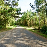 DEVELOPMENT TIMBER LAND - 18.8 ACRES - SAILES  LA