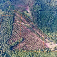 DEVELOPMENT TIMBER LAND - 18.8 ACRES - SAILES  LA images 2