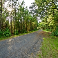 DEVELOPMENT TIMBER LAND - 18.8 ACRES - SAILES  LA images 6