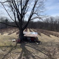 149 acres Blueberry Farm in Humphrey NY Button Road