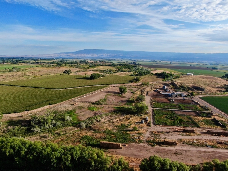 Productive Cattle Ranch &nbsp; Farmland For Sale in Southwest CO featured image