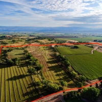 Productive Cattle Ranch &nbsp; Farmland For Sale in Southwest CO images 2