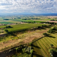 Productive Cattle Ranch &nbsp; Farmland For Sale in Southwest CO images 3