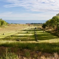 Productive Cattle Ranch &nbsp; Farmland For Sale in Southwest CO images 5
