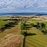 Productive Cattle Ranch &nbsp; Farmland For Sale in Southwest CO images 6