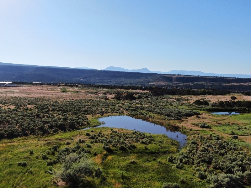 Irrigated Cattle Ranch &nbsp; Hunting Land For Sale in Central CO featured image