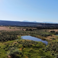 Irrigated Cattle Ranch &nbsp; Hunting Land For Sale in Central CO