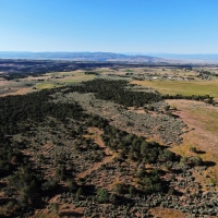 Irrigated Cattle Ranch &nbsp; Hunting Land For Sale in Central CO images 3