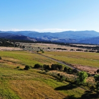 Irrigated Cattle Ranch &nbsp; Hunting Land For Sale in Central CO images 4