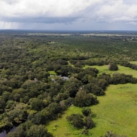 Cattle Ranch &nbsp; Hunting Land For Sale in Southwest FL
