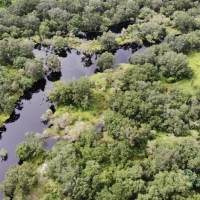 Cattle Ranch &nbsp; Hunting Land For Sale in Southwest FL images 2