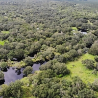 Cattle Ranch &nbsp; Hunting Land For Sale in Southwest FL images 6