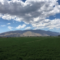 Fertile Farmland For Sale in Lyon County  NV