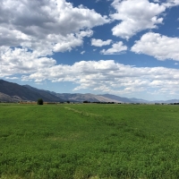 Fertile Farmland For Sale in Lyon County  NV images 2