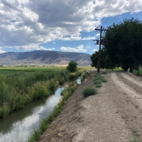 Fertile Farmland For Sale in Lyon County  NV images 4