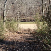 Riverfront Development Land For Sale in Northwest AR images 5