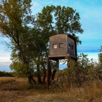 Executive Lakefront Log Cabin &nbsp; Trophy Hunting Land For Sale in Harper  KS images 4