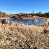Trophy Whitetail Hunting &nbsp; Recreational Land For Sale in Southern  IA images 3