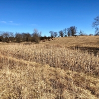 Trophy Whitetail Hunting &nbsp; Recreational Land For Sale in Southern  IA images 4