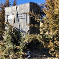 Trophy Whitetail Hunting &nbsp; Recreational Land For Sale in Southern  IA images 5