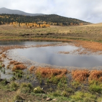 Mountain Equine Property with Recreational Land For Sale in Westcliffe  CO images 2