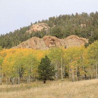 Mountain Equine Property with Recreational Land For Sale in Westcliffe  CO images 3