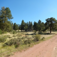Recreational Mountain Land For Sale in Cripple Creek  CO images 5