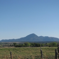 Cattle Ranch with Water Rights &nbsp; Productive Orchard For Sale in Dolores  CO