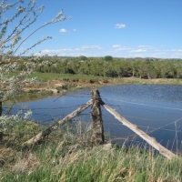 Cattle Ranch with Water Rights &nbsp; Productive Orchard For Sale in Dolores  CO images 2