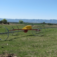 Cattle Ranch with Water Rights &nbsp; Productive Orchard For Sale in Dolores  CO images 4