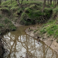 Mills Creek Ranch images 4