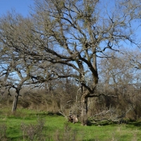 Mills Creek Ranch images 6