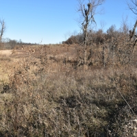 184 acres m l  Appanoose Co.&nbsp; IA images 3