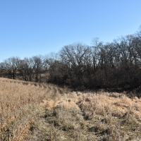 184 acres m l  Appanoose Co.&nbsp; IA images 6