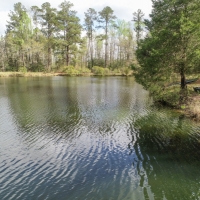 Spring Hill images 4