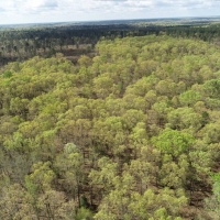 Spring Hill images 5