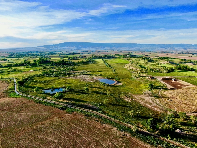 Extraordinary Cattle Ranch with Water Rights For Sale in Western CO featured image