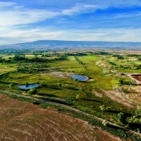 Extraordinary Cattle Ranch with Water Rights For Sale in Western CO