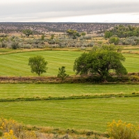 Extraordinary Cattle Ranch with Water Rights For Sale in Western CO images 3