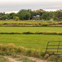 Extraordinary Cattle Ranch with Water Rights For Sale in Western CO images 4