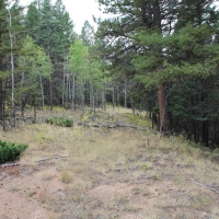 Luxury Mountain Ranch For Sale in Custer County  CO images 4
