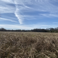 Sandy Branch Ranch